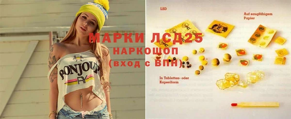 трава Елизово