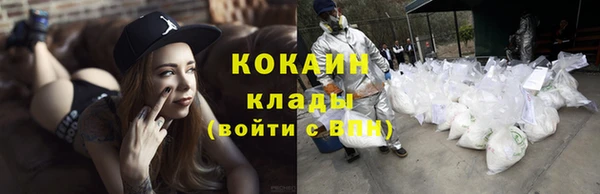 трава Елизово