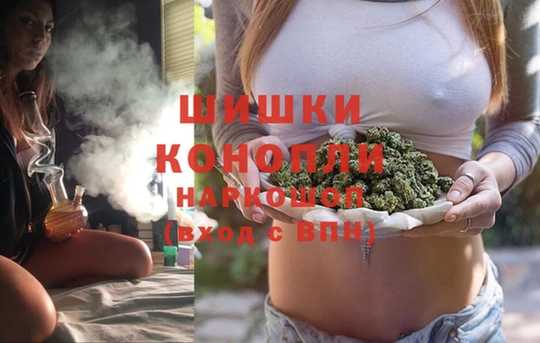 трава Елизово