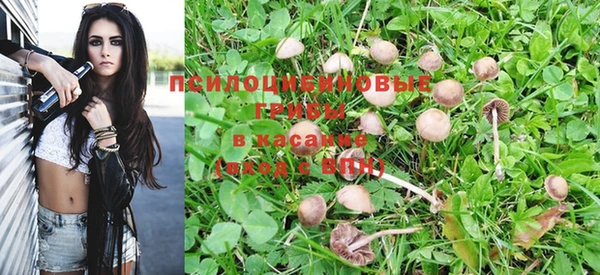 трава Елизово